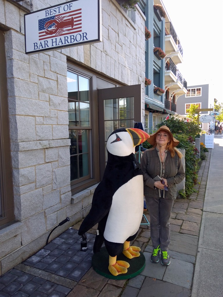 acadiaPark2018-P_20180901_144250