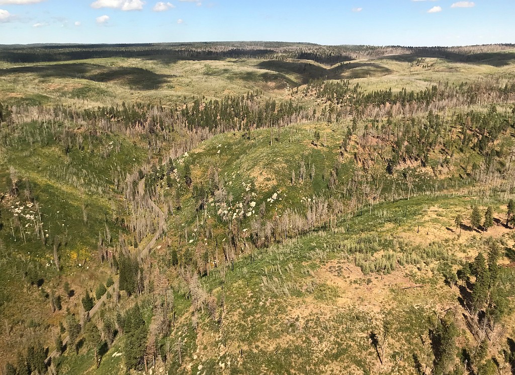 GrandCanyon-Sep2019-IMG_0809