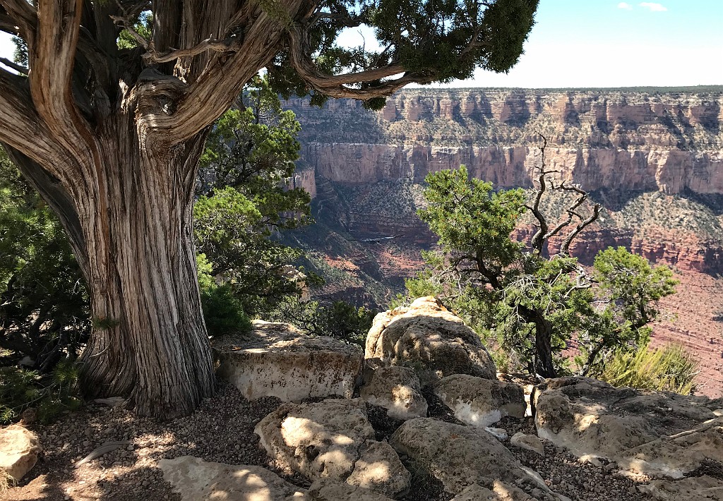 GrandCanyon-Sep2019-IMG_0925
