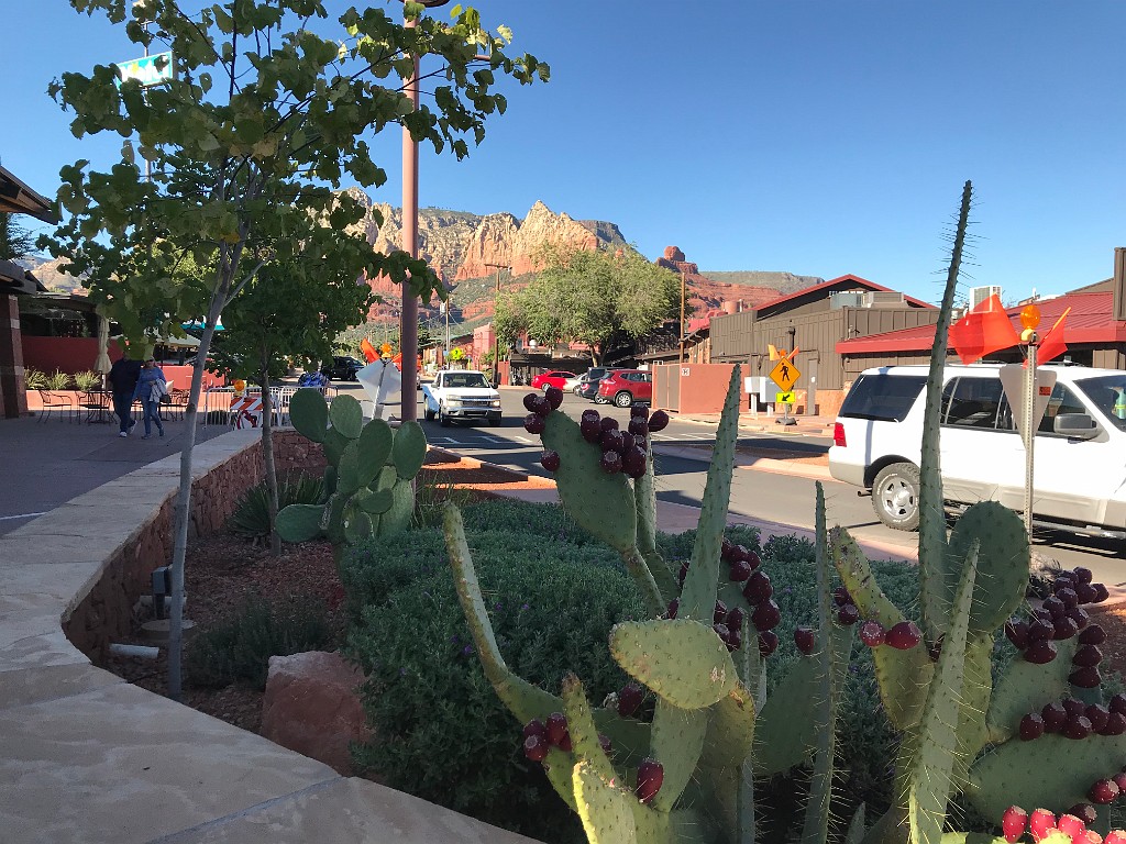 GrandCanyon-Sep2019-IMG_1185