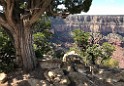 GrandCanyon-Sep2019-IMG_0925 