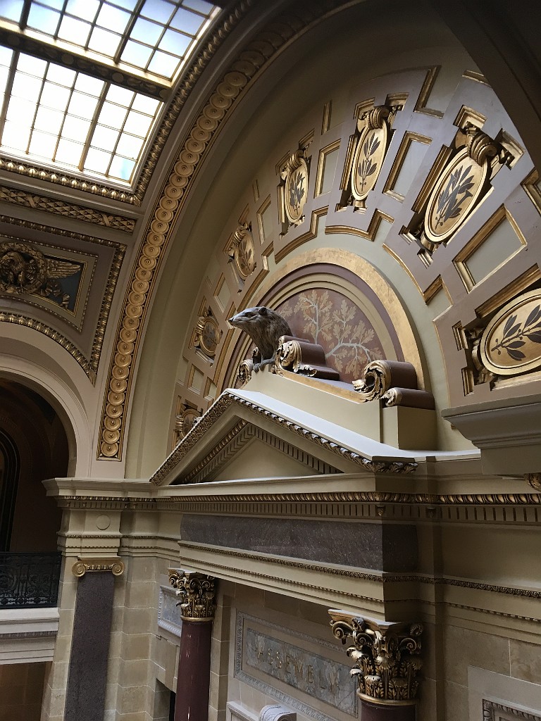 summer2019-Madison-July-IMG_0072