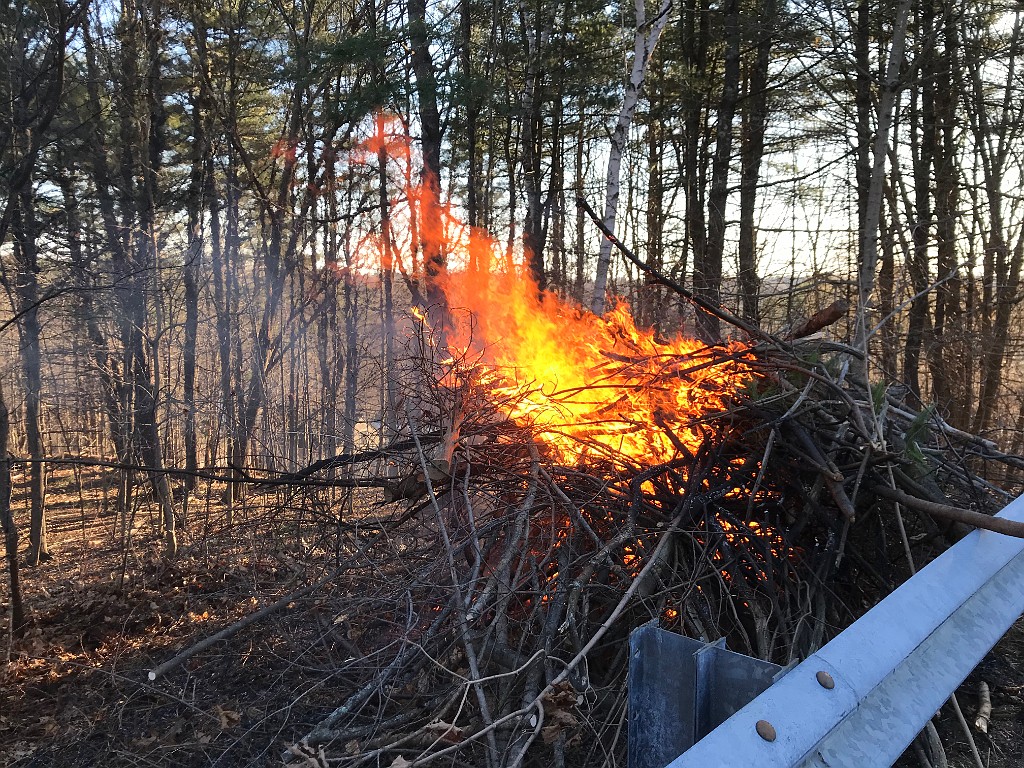 winterSpring2020-IMG_3338