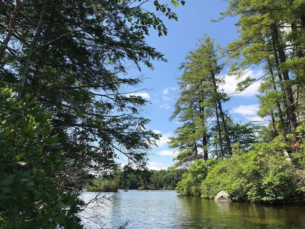 camping2020-Pawtuckaway-IMG_3602