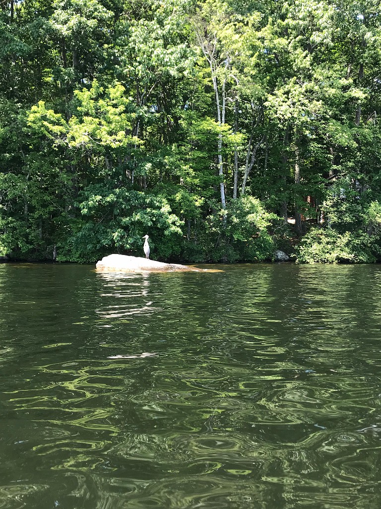 camping2020-Pawtuckaway-IMG_3618