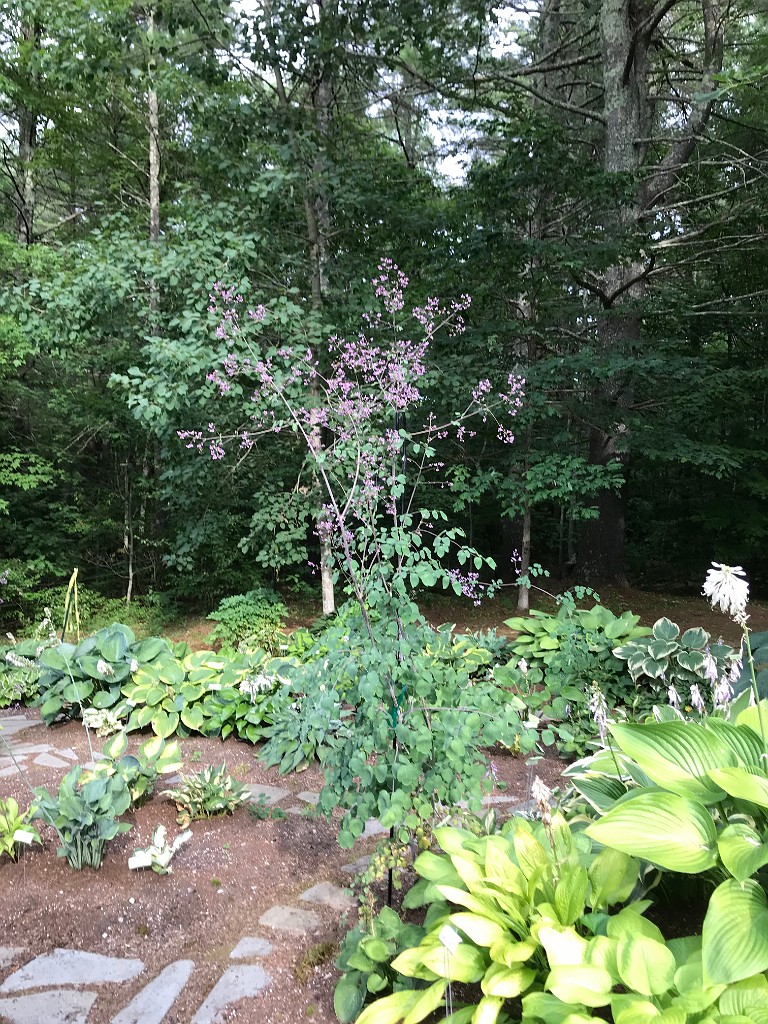 summer2020-Epping-IMG_3713