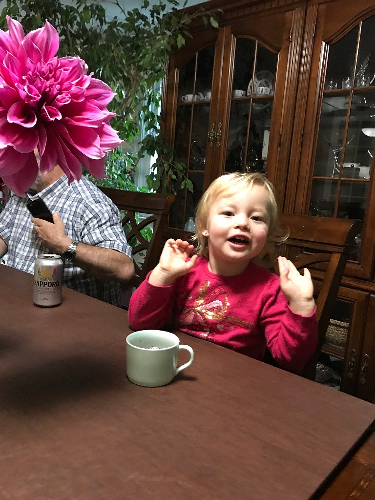 summer2020-Epping-IMG_3877