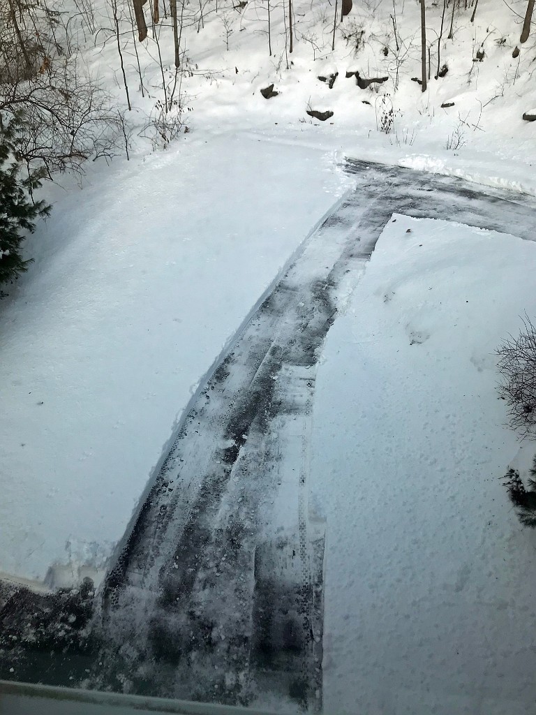 winterSpring2020-IMG_3023