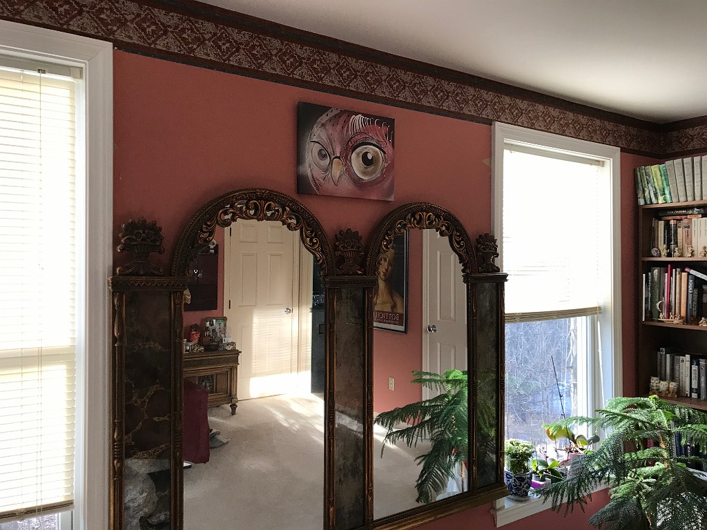 winterSpring2020-IMG_3119