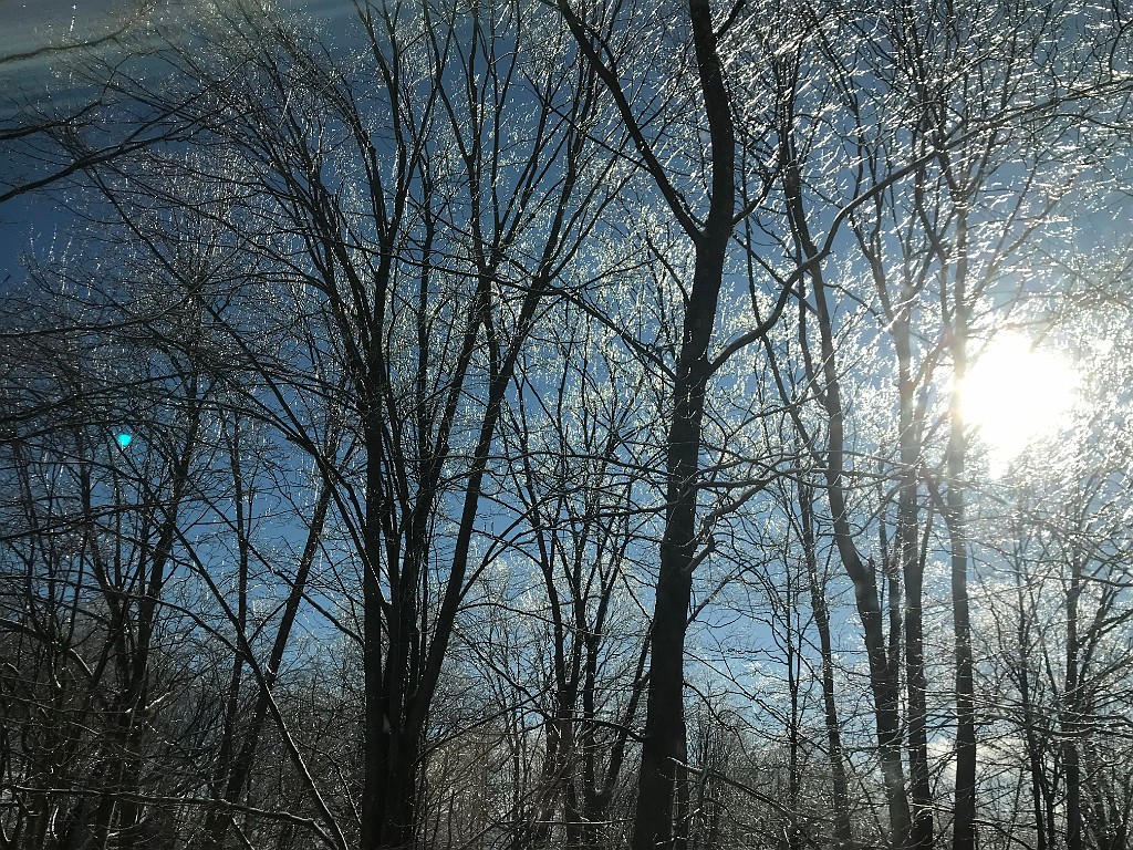 winterSpring2020-IMG_3152