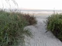 southOct2021-IMG_20211009_183240 Isle of Palms, near Charleston