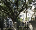southOct2021-IMG_6198 
