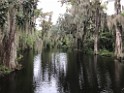 southOct2021-IMG_6334 
