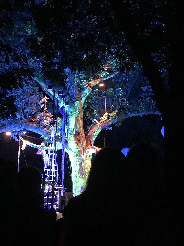 august2021-Madison-IMG_5566