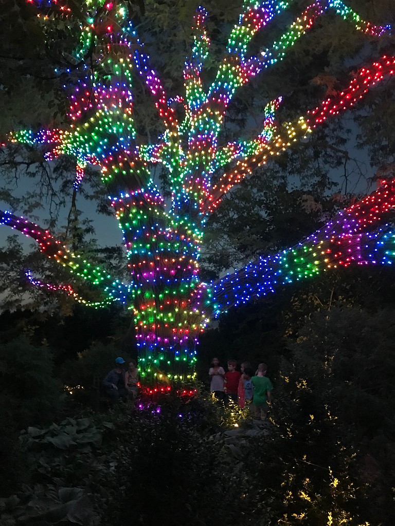 august2021-Madison-IMG_5640