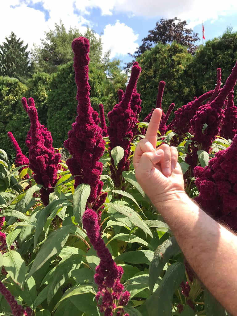 torontoSep2021-IMG_5813