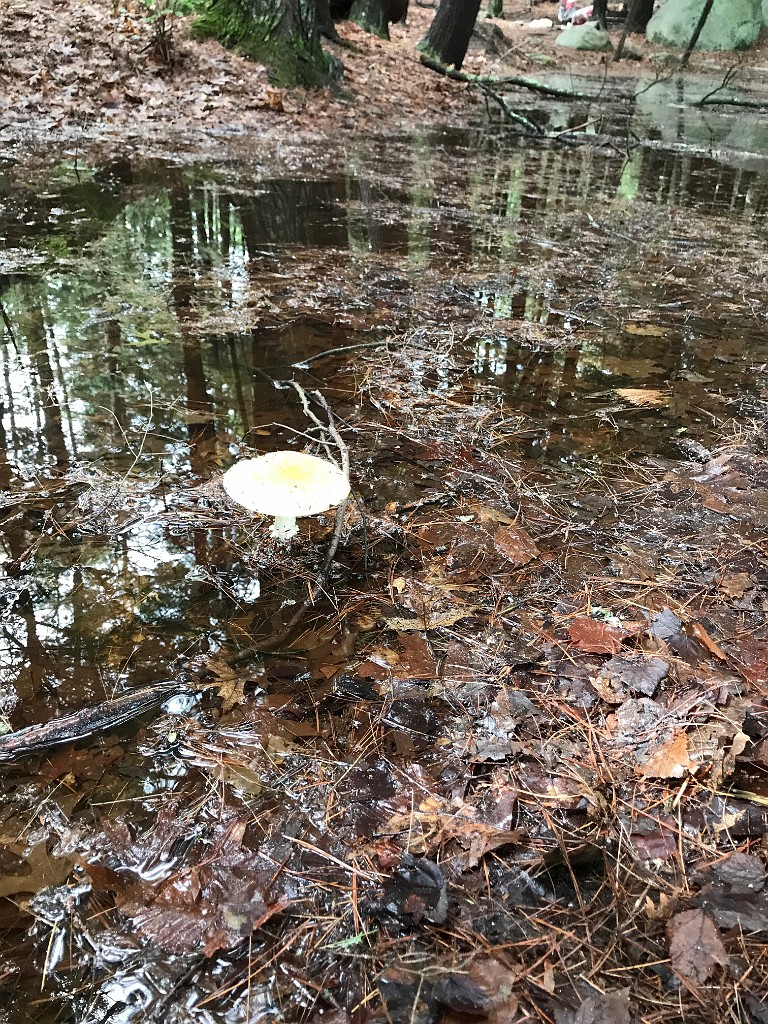 summer2021-campID4-IMG_5097