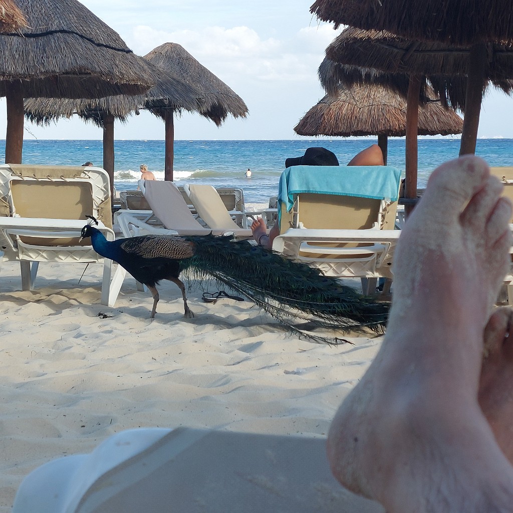 tucan2022-20220328_175513