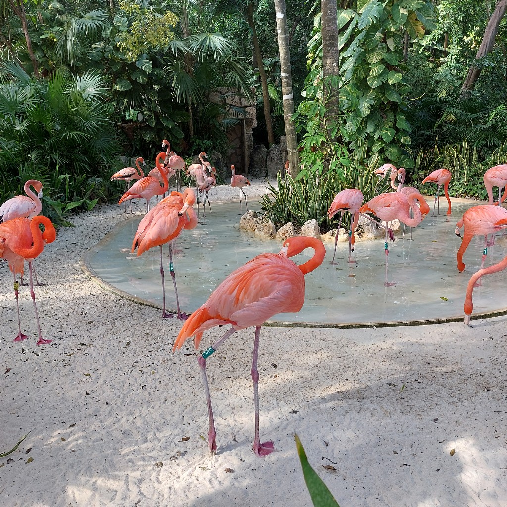 tucan2022-20220329_162848