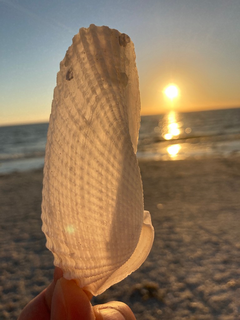 florida-Dec21-IMG_5310