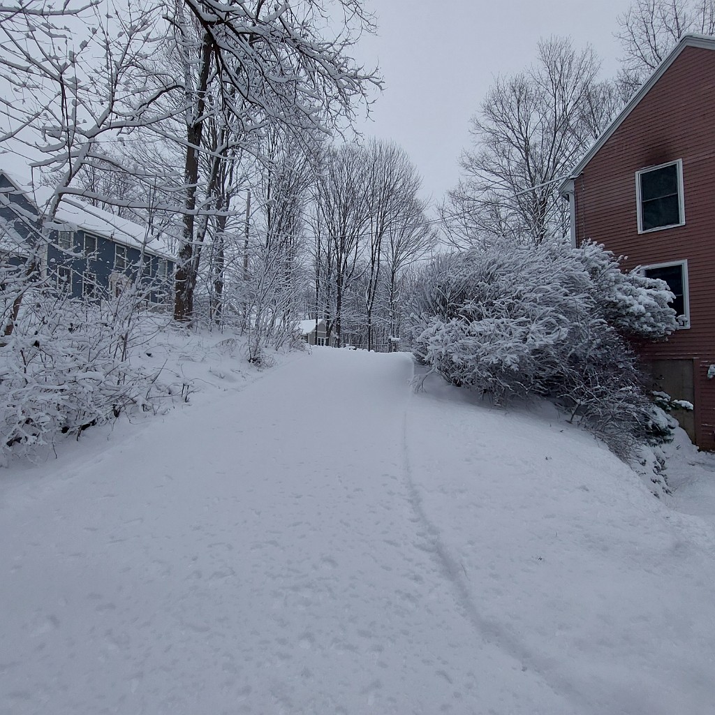 winter2022-20220107_161048