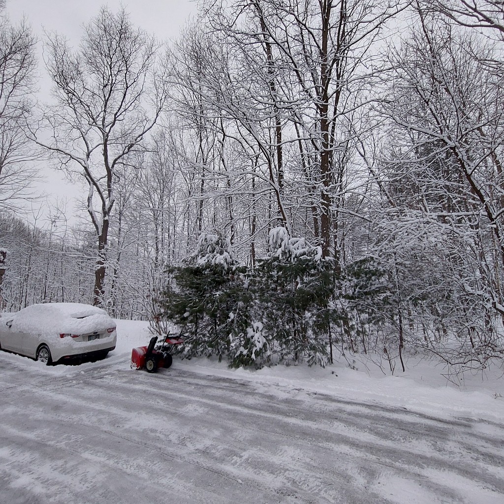 winter2022-20220107_161102