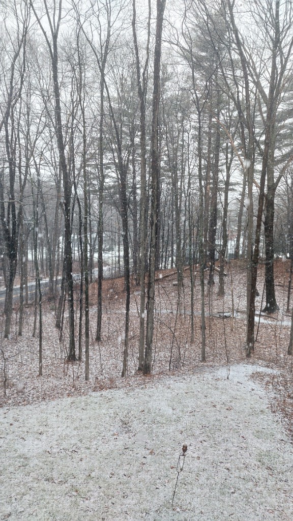 Первый снег 5 декабря