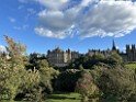 IMG_3981 