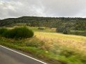IMG_4427 