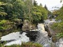 IMG_4551
