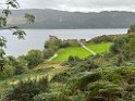 IMG_4559