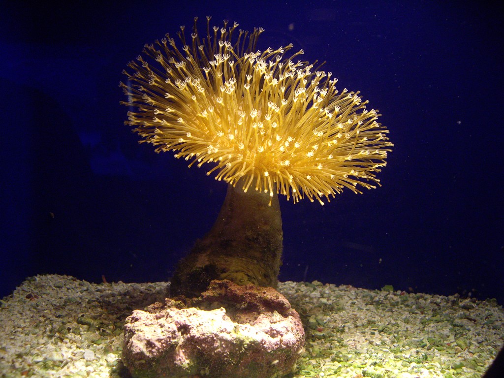 Israel2007-Eilat-5896