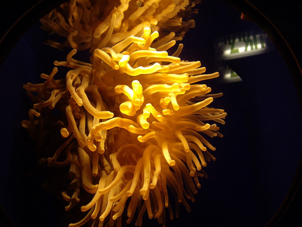 Israel2007-Eilat-5897