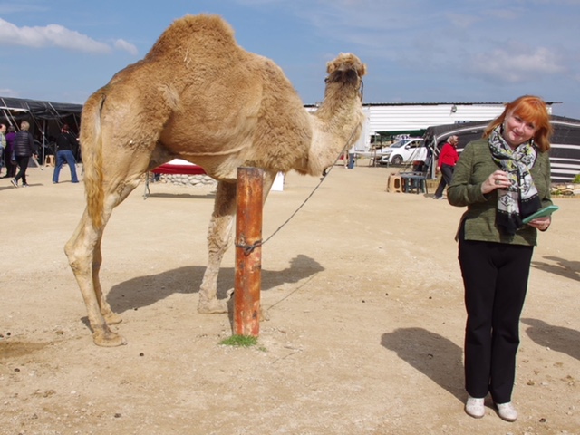 israel2018-IMGP1506a