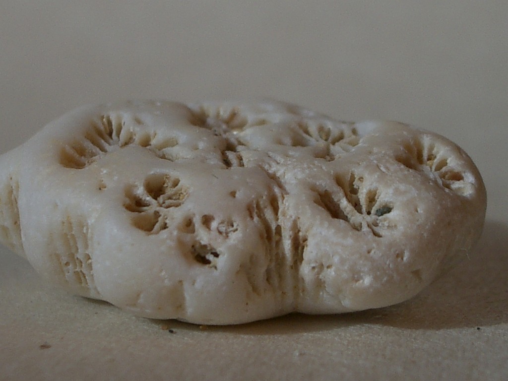 netsuke-1078