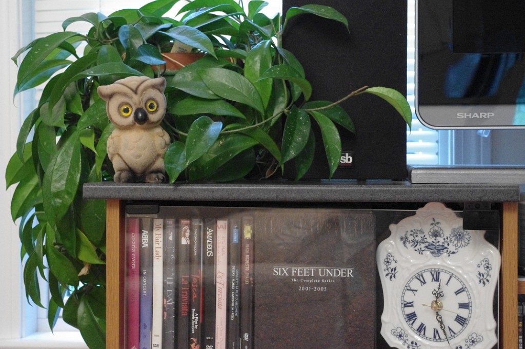 2013-owls-teapots-IMGP3714