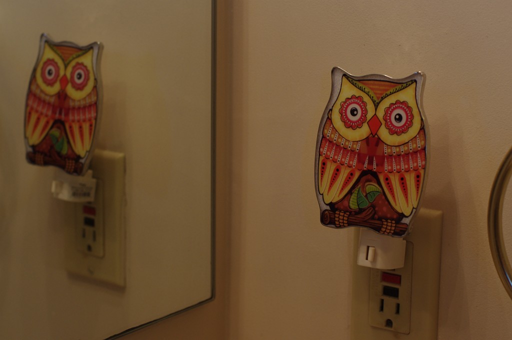 2013-owls-teapots-IMGP3832