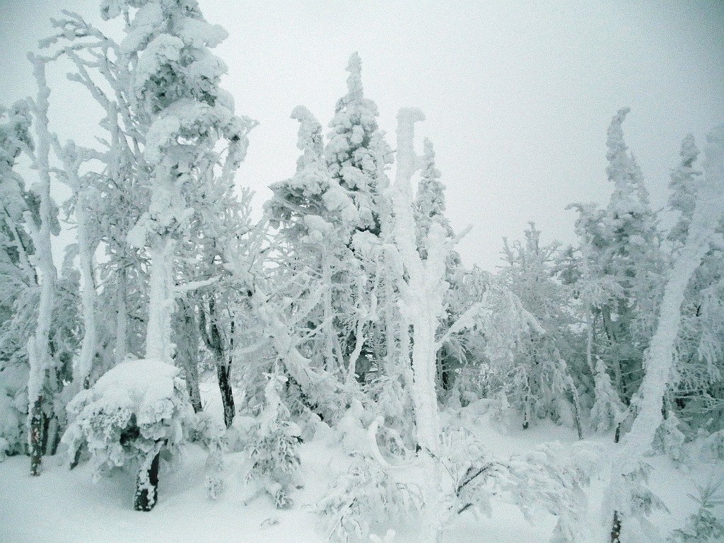 winter2013-Sugarloaf-P3072469