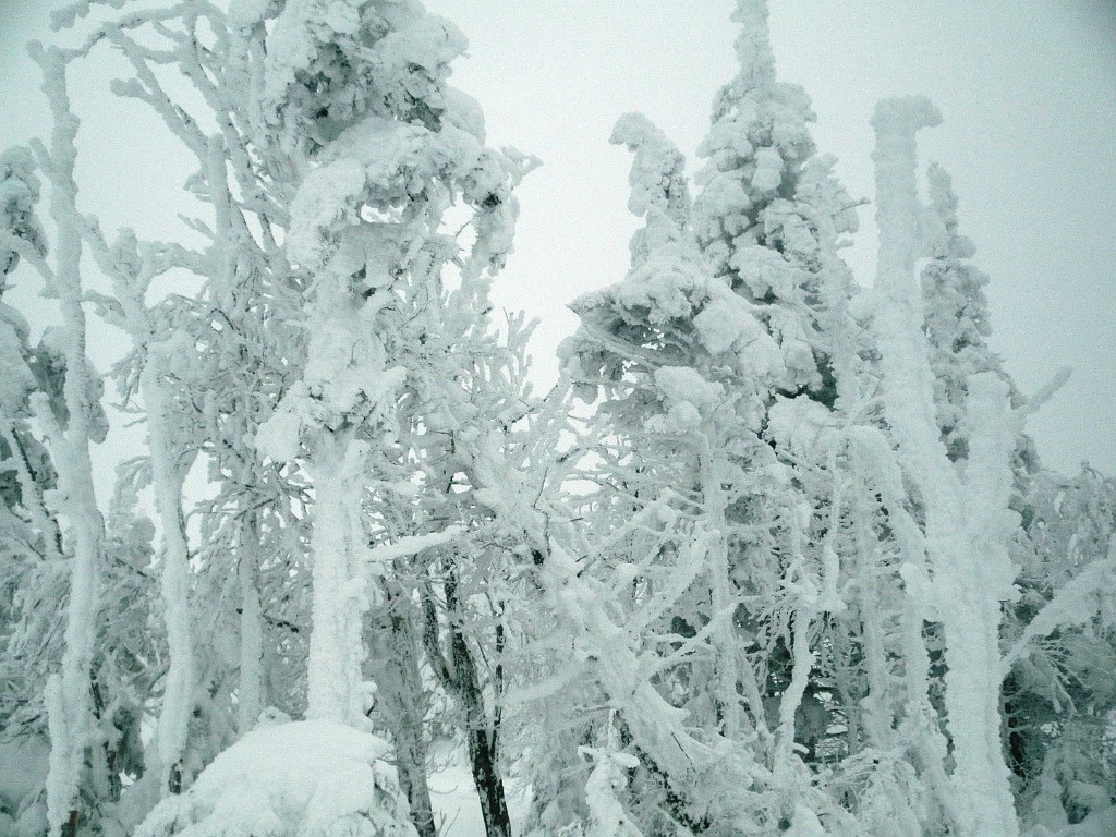 winter2013-Sugarloaf-P3072471