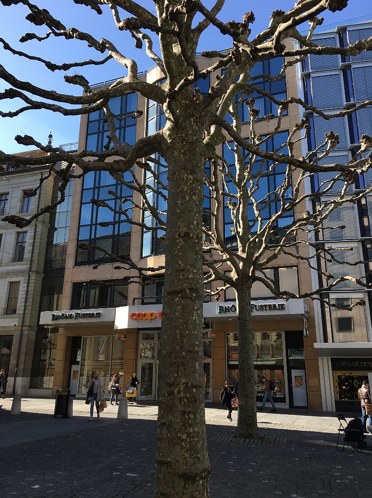 chamonix-2017-IMG_1892