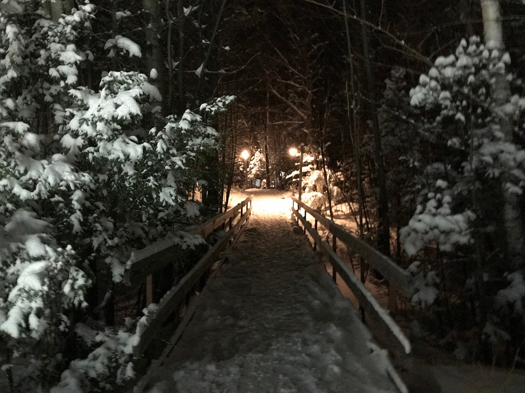 Sugarloaf2022-IMG_7204